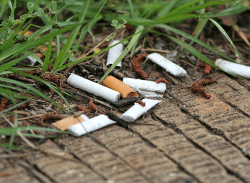 cigarette buds in the dirt and grass